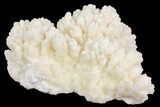 Cave Calcite (Aragonite) Formation - Fluorescent #182353-2